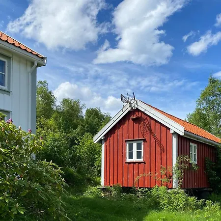 Cozy In With Wifi Feriehus Averøy
